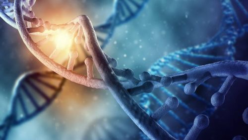 Активация генов ДНК, богиня Бахти, энергетический канал очищения генных цепочек