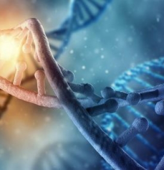 Активация генов ДНК, богиня Бахти, энергетический канал очищения генных цепочек